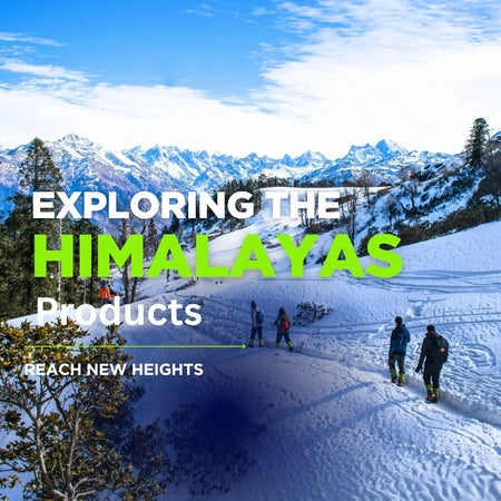 Himalayan Shilajit - Himalaya Life Care