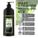 Hair Dye Shampoo Pack of 2 (300ml Each) – Herbal Hair Color