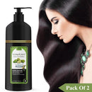 Hair Dye Shampoo 300ml Pack of 2 – Natural Black Hair Color for Men and Women