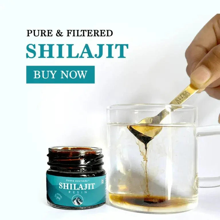 Reeka Ayurveda PureHimalayan Shilajit Resin 20g | 4X Concentrated 100% Natural |Boost Energy Stamina & Strength Naturally - Himalaya Life Care