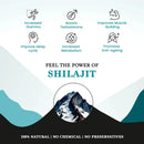 Reeka Ayurveda Pure Himalayan Shilajit   Resin 20g | 4X Concentrated 100% Natural |Boost Energy Stamina & Strength Naturally - Himalaya Life Care