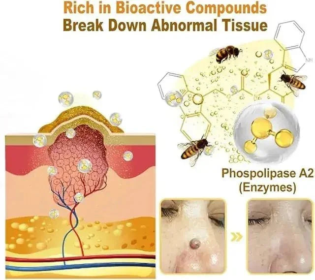 Zidella Skin  Lightening Cream 50g (Pack of 2) - Himalaya Life Care